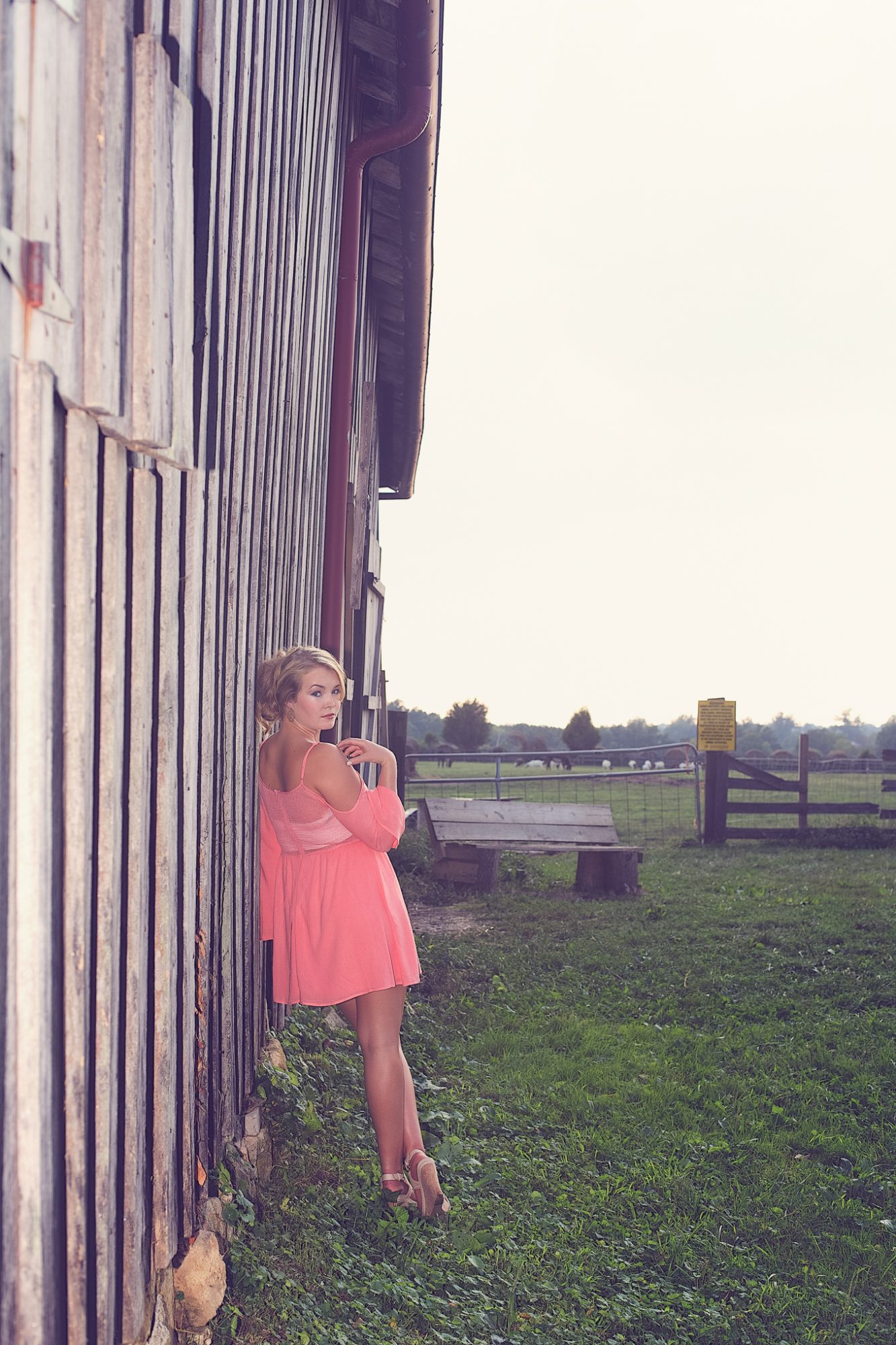 untitled-2402-Edit