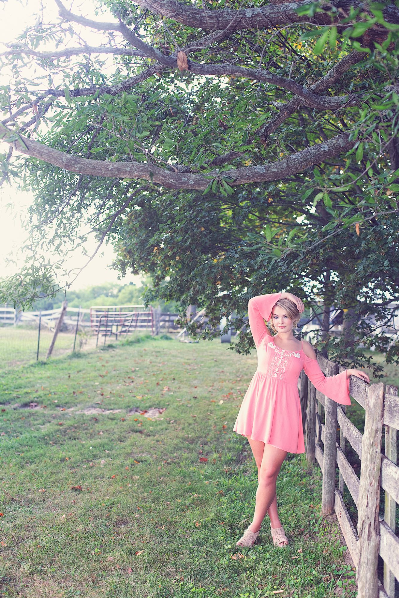 untitled-2412-Edit